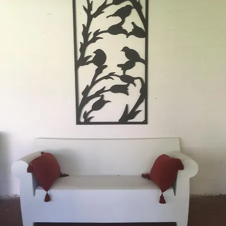 Willa Chartreuse Xviii