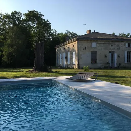 Willa Chartreuse Xviii