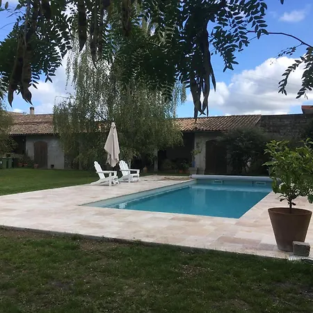 Willa Chartreuse Xviii *