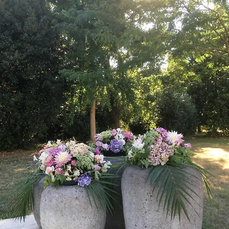 Chartreuse Xviii Willa *