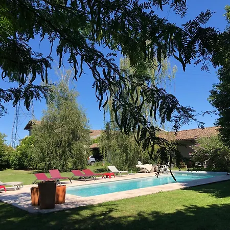 Willa Chartreuse Xviii *